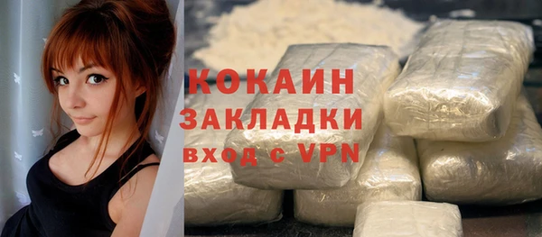 гашик Алзамай