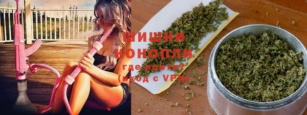 гашик Алзамай